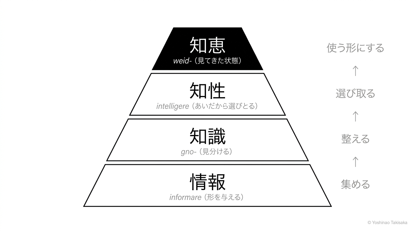 情報から知恵への系譜